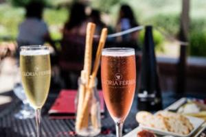 青训梯队表现出色，为中国足球未来带来希望