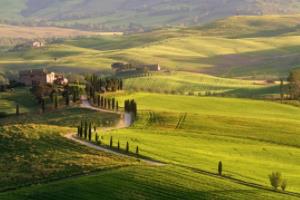 曼联主教练透露球队下次比赛战术调整