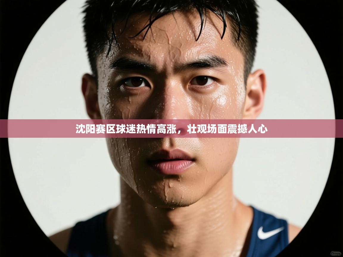 沈阳赛区球迷热情高涨，壮观场面震撼人心