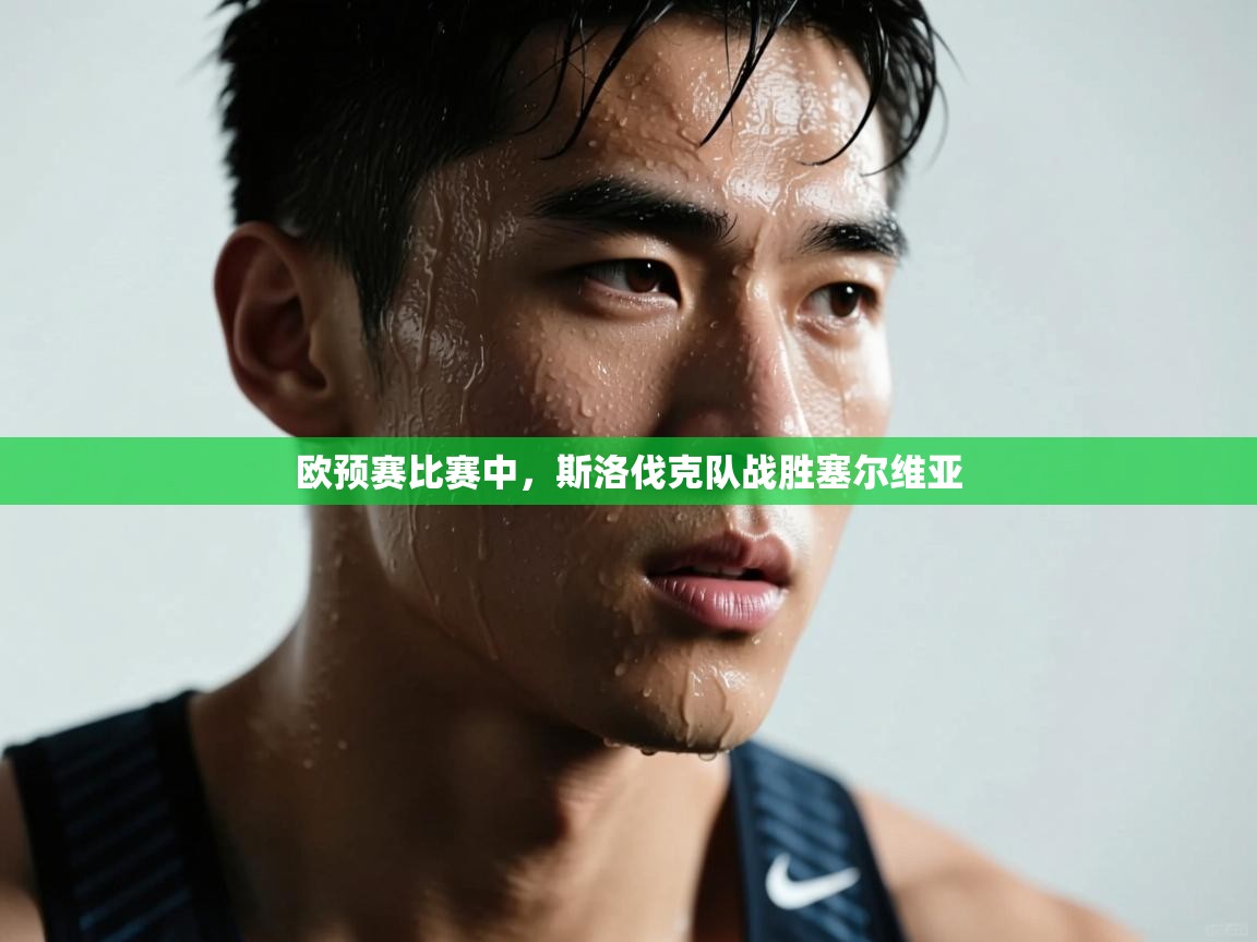 欧预赛比赛中，斯洛伐克队战胜塞尔维亚  第2张