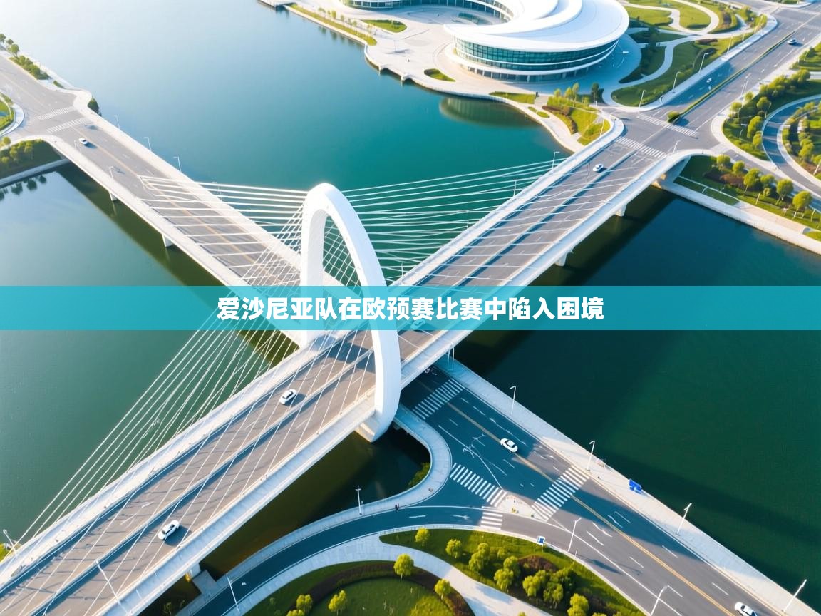 爱沙尼亚队在欧预赛比赛中陷入困境  第1张