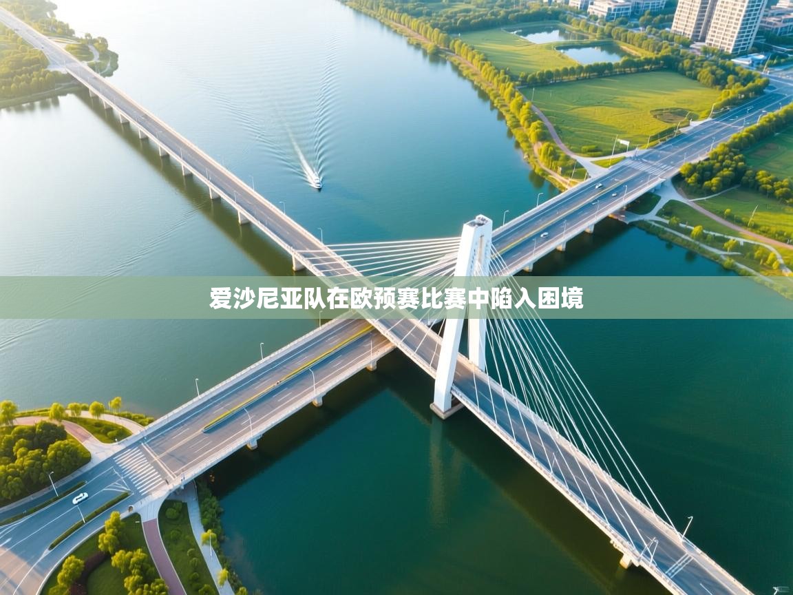 爱沙尼亚队在欧预赛比赛中陷入困境  第2张