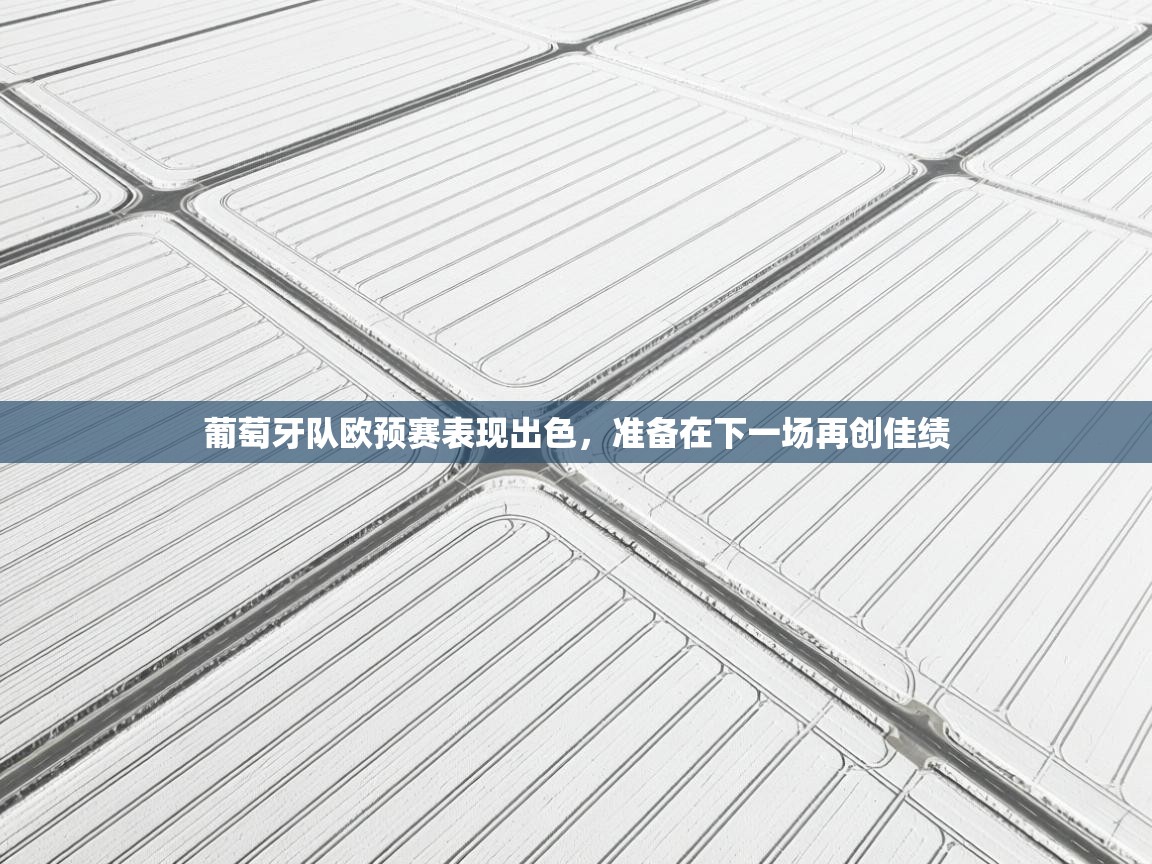 葡萄牙队欧预赛表现出色，准备在下一场再创佳绩