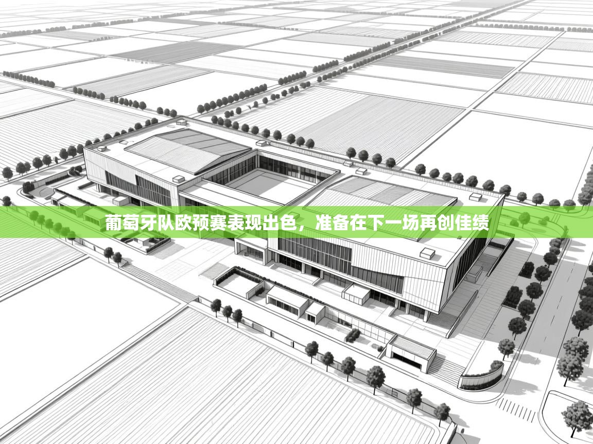 葡萄牙队欧预赛表现出色，准备在下一场再创佳绩  第2张