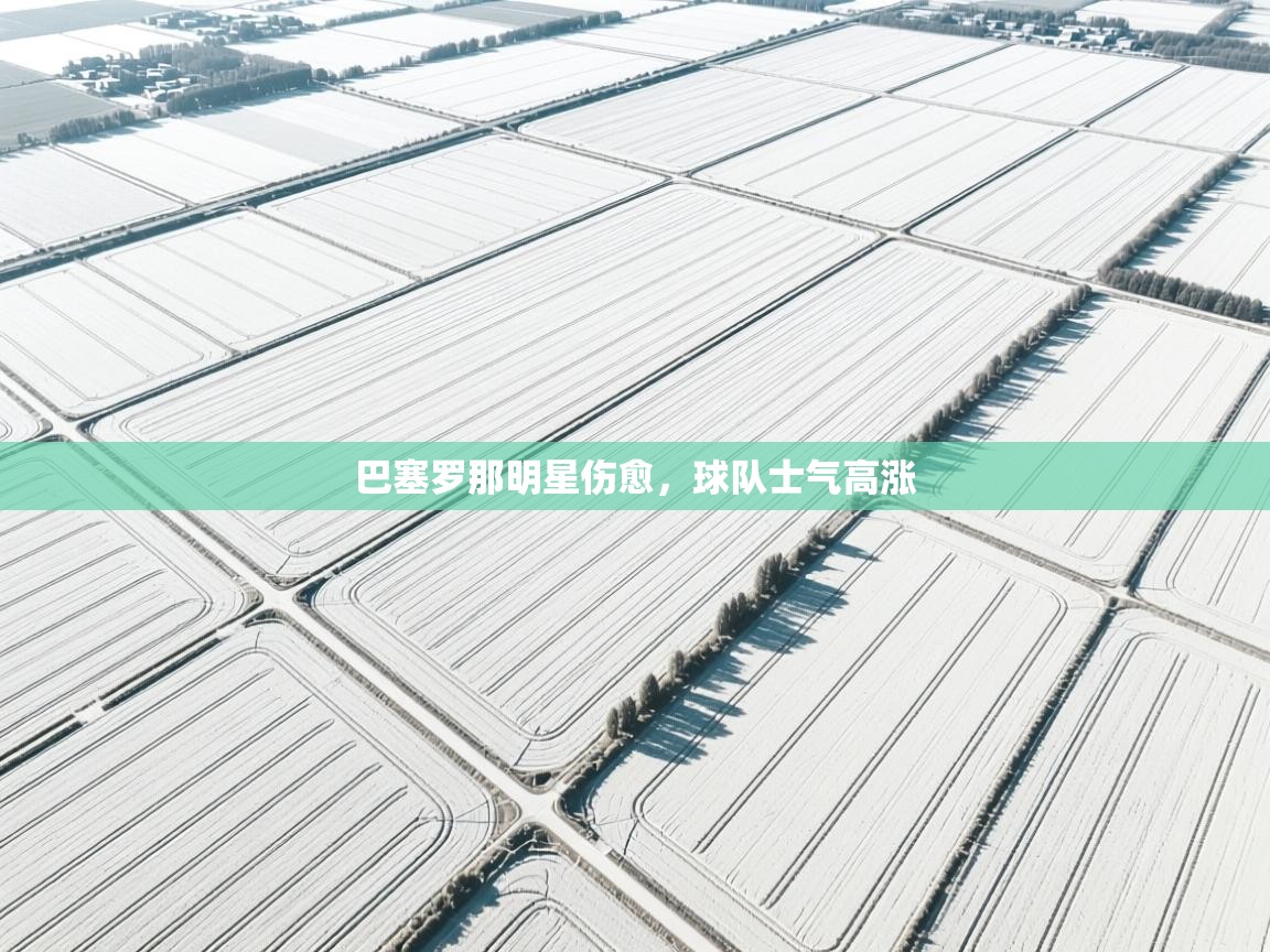 巴塞罗那明星伤愈，球队士气高涨  第1张