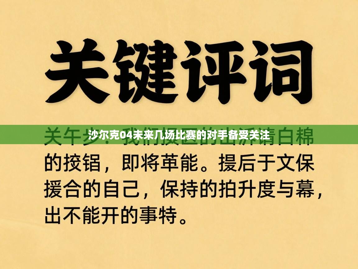 沙尔克04未来几场比赛的对手备受关注  第1张