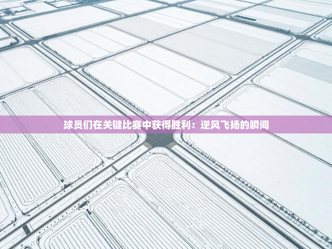 球员们在关键比赛中获得胜利:逆风飞扬的瞬间 第1张