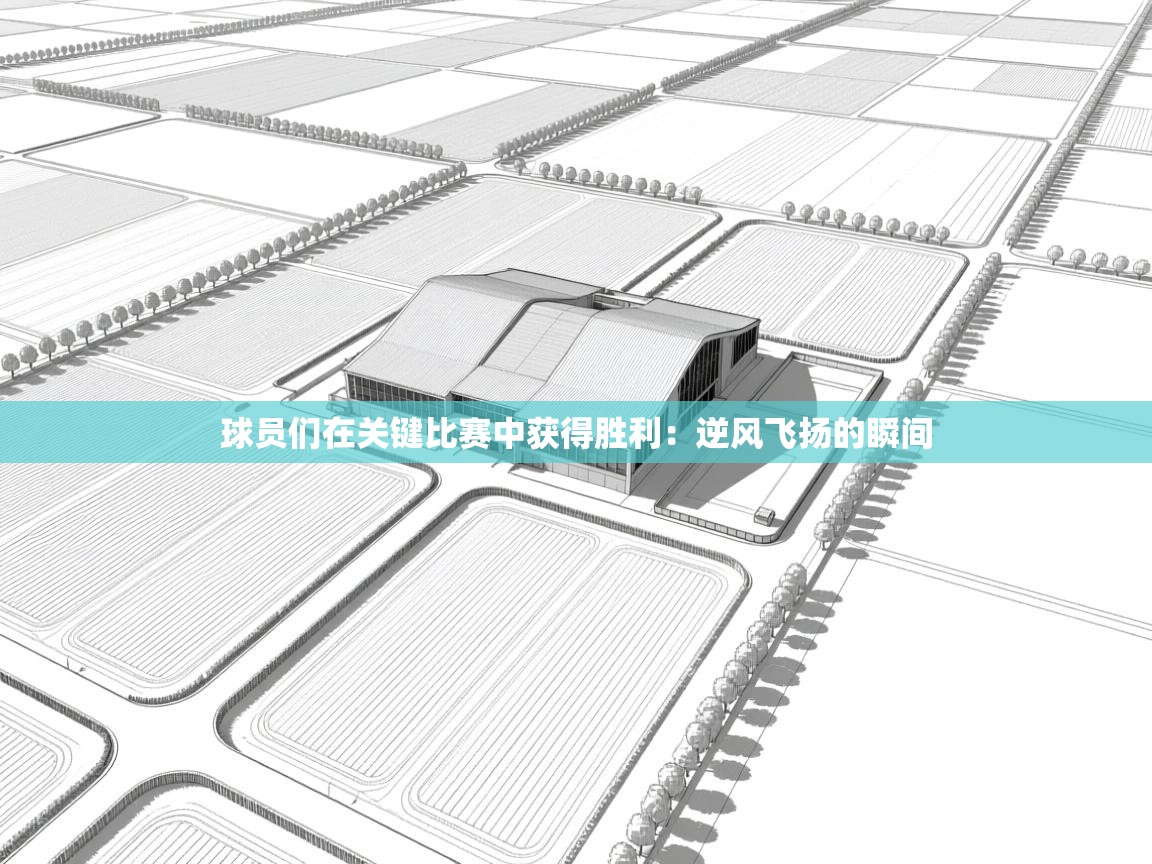 球员们在关键比赛中获得胜利:逆风飞扬的瞬间 第2张