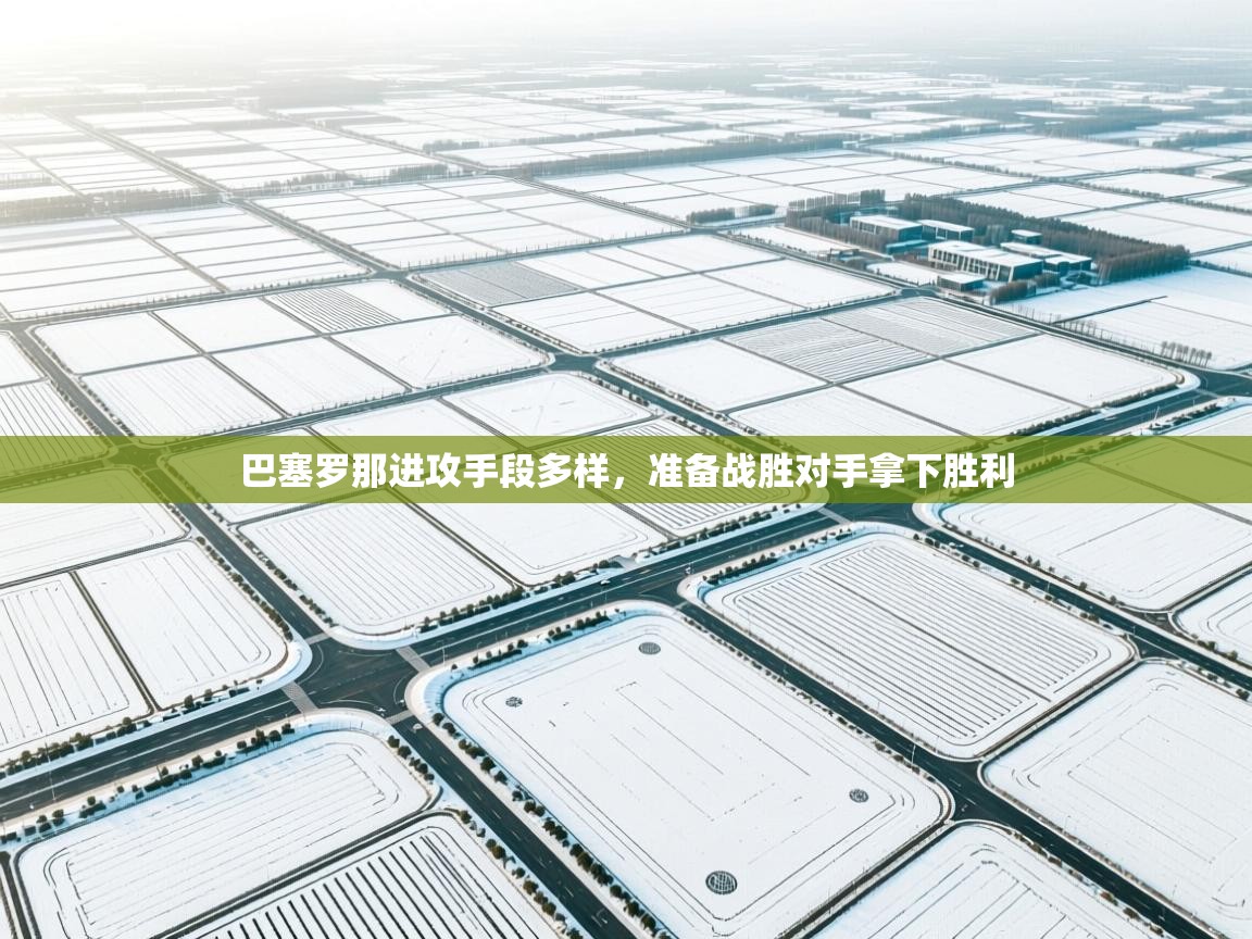 巴塞罗那进攻手段多样，准备战胜对手拿下胜利  第1张