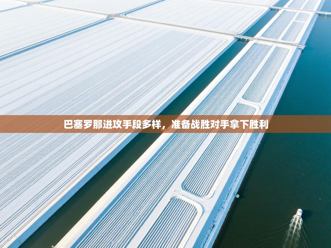 巴塞罗那进攻手段多样，准备战胜对手拿下胜利  第2张